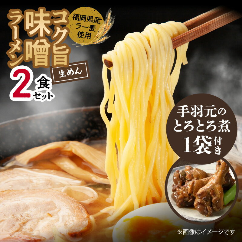 12位! 口コミ数「0件」評価「0」味噌ラーメン 2食 手羽元煮 3本入り × 1袋 セット コク旨 みそ ラーメン 福岡県産 ラー麦 麺 麺類 手羽元 手羽 とろとろ煮 九州･･･ 