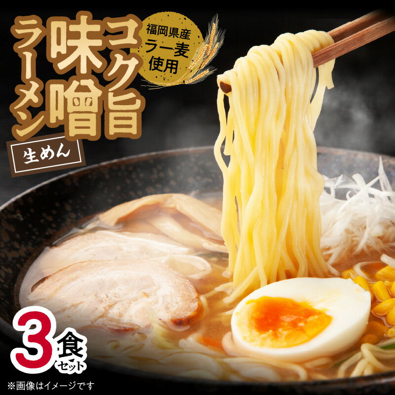 25位! 口コミ数「0件」評価「0」味噌ラーメン 3食 生めん スープ セット コク旨 みそ ラーメン 深いコクと旨み 福岡県産 ラー麦 使用 ポスト投函 麺 麺類 常温発送 ･･･ 