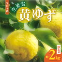 【ふるさと納税】先行予約 訳あり 黄ゆず 生果実 約 2kg ゆず 上毛町産 果汁 豊富 料理 お菓子作り 香りづけ 果物 ゆず茶 ゆずジャム ゆずごしょう みどり工房 お取り寄せ お取り寄せフルーツ 福岡県 上毛町 送料無料