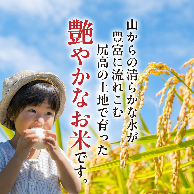 【ふるさと納税】【令和7年産】 松本さんが作った 上毛町尻高地区産 厳選 米 食べ比べ セット 夢つくし ミルキープリンセス 艶やか ブランド米 良質 低アミロース 品種 白米 ご飯 おにぎり おむすび お弁当 お取り寄せ 福岡県 上毛町 送料無料 f406465-koge-10001168 福岡県上毛町 サンプル画像3