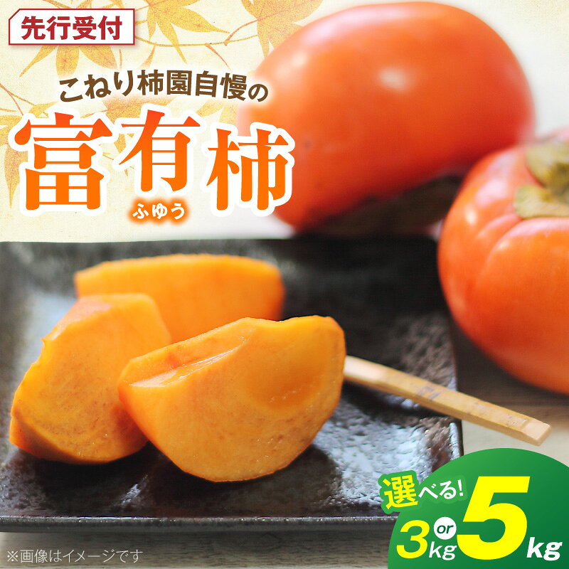 【先行受付】 富有柿 甘柿 代表品種 11月 ～ 12月 旬 選べる 容量 3kg 5kg 柿 コク 濃厚な甘み なめらかな果肉 こねり柿園 フルーツ 果物 お取り寄せ 福岡県 上毛町 送料無料