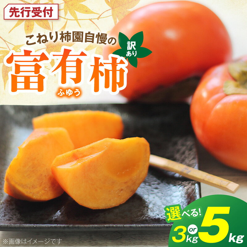 【先行受付】 訳あり 富有柿 甘柿 代表品種 11月 ～ 12月 旬 選べる 容量 3kg 5kg 柿 コク 濃厚な甘み なめらかな果肉 こねり柿園 フルーツ 果物 お取り寄せ 福岡県 上毛町 送料無料