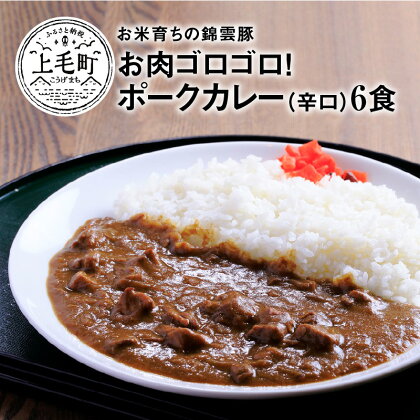 ご当地 カレー お米育ち 錦雲豚 お肉 ゴロゴロ ポークカレー 辛口 200g×6食 レトルト カレーライス 米 ご飯 ブランド豚 豚肉 肉 ポーク オレイン酸 スパイス スパイスカレー 湯せん 温めるだけ グルメ 送料無料