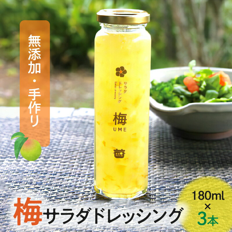 無添加手作り 梅 サラダ ドレッシング 180ml×3本 無添加 手作り 濃厚 香り 爽やか パスタ お肉料理 梅エキス ギフト 贈り物 プレゼント お取り寄せ 地元食材 逸品 おすすめ 送料無料