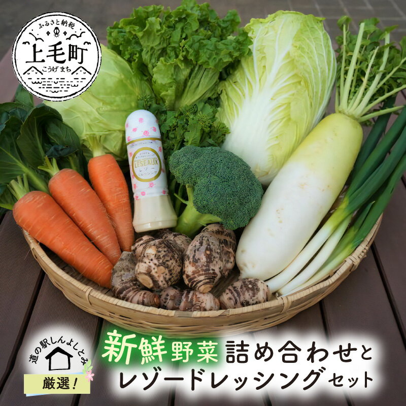 K03803　道の駅厳選！新鮮野菜詰め合わせとレゾードレッシングセット