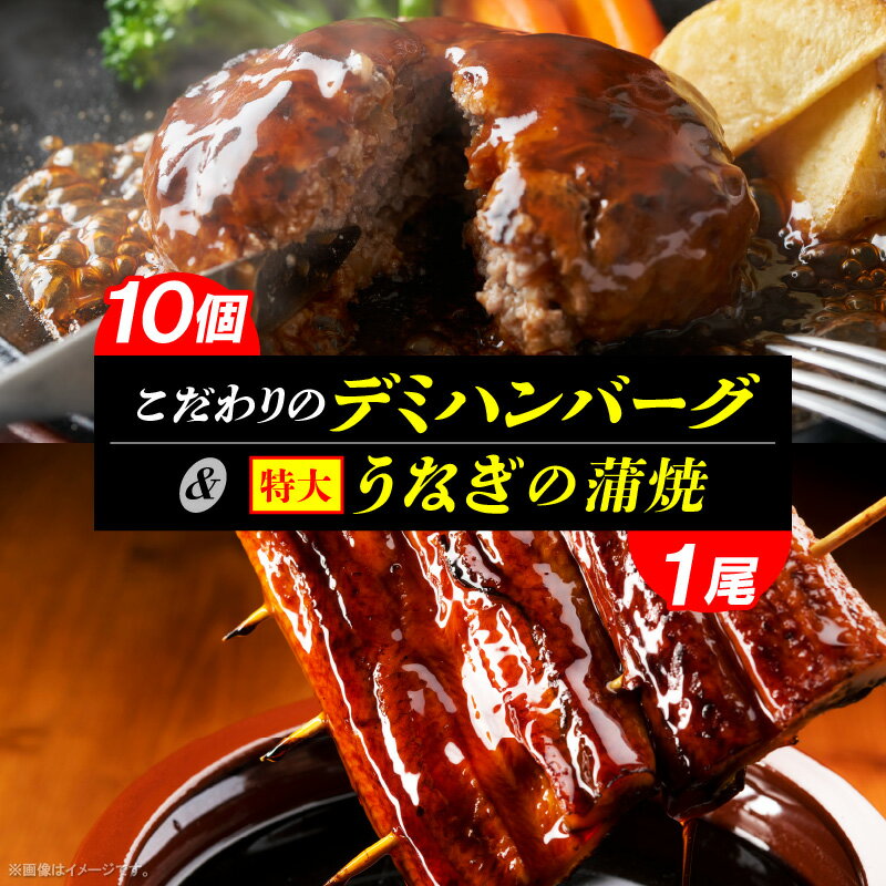 [レビューキャンペーン対象]デミハンバーグ 160g × 10個 うなぎ蒲焼 約300g×1尾 セット デミグラスソース うなぎ ハンバーグ 福岡県 上毛町 簡単調理 湯煎 晩ごはん おかず お弁当 お取り寄せ お取り寄せグルメ 送料無料