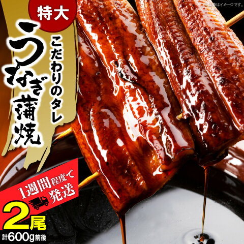 【ふるさと納税】うなぎ 蒲焼 特大 300g × 2尾 ビ...