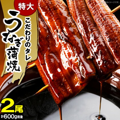 【レビューキャンペーン対象】特大 うなぎ 蒲焼 ビッグサイズ 300g × 2尾 土用 丑の日 うなぎの蒲焼 冷凍 叶え屋 特製 たれ スタミナ満点 晩ごはん おかず お弁当 お取り寄せ 土用丑の日 食品 魚 福岡県 上毛町 送料無料