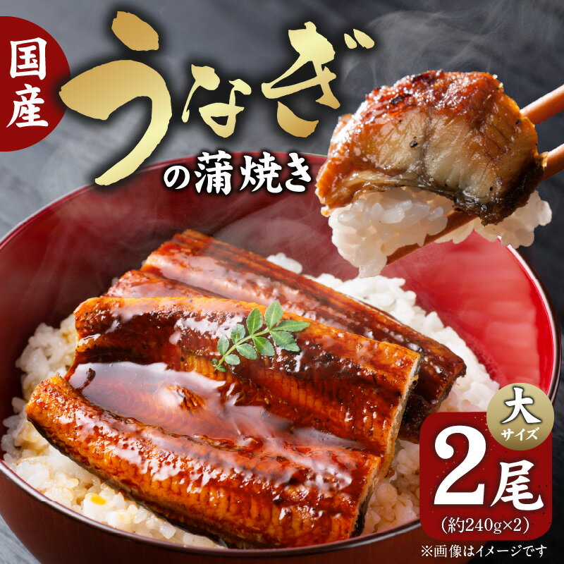 国産 うなぎ 蒲焼き 2尾 大サイズ 焼きたて ふっくら 香ばしい 真空パック 湯煎 簡単調理 冷凍 オーブン グリル うな丼 うな重 ひつまぶし 惣菜 おかず おうちごはん 丑の日 お取り寄せ 上毛町 送料無料