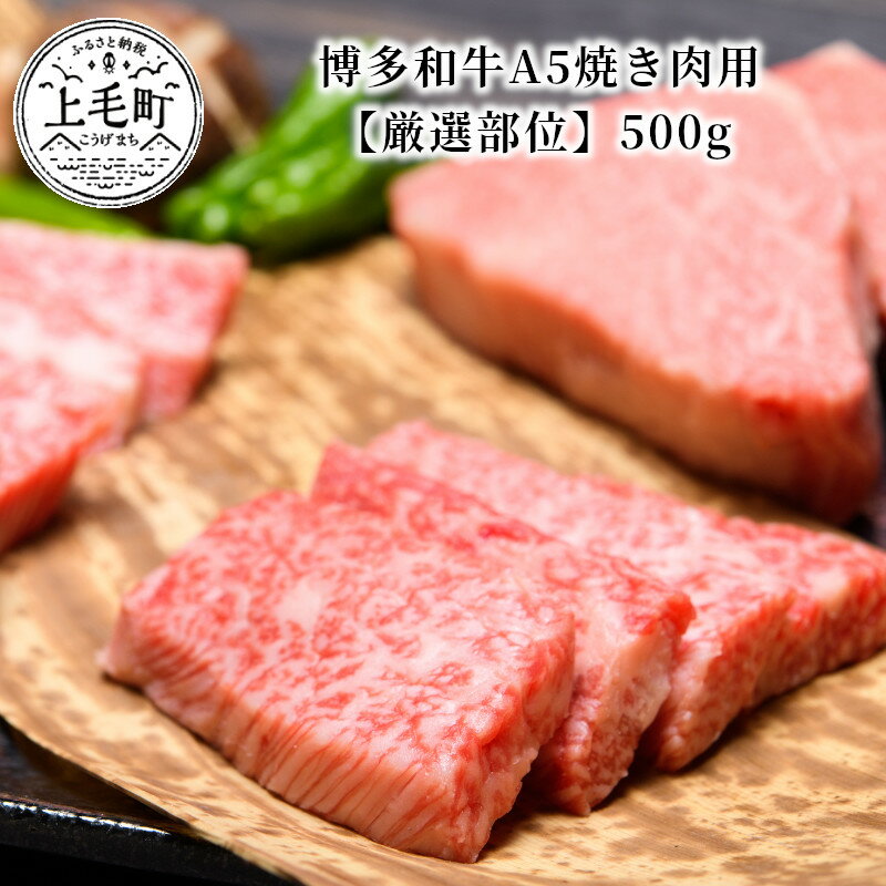 博多和牛A5焼き肉用【厳選部位】500g KMP0303