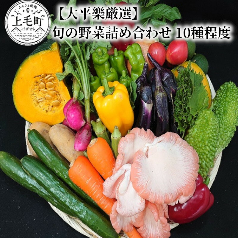 27位! 口コミ数「0件」評価「0」【大平樂厳選】旬の野菜 詰め合わせ 10種程度 旬 野菜 季節野菜 ベジタブル ベジタリアン サラダ 料理 新鮮 ダイエット 野菜セット お･･･ 