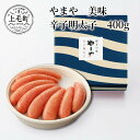 TY0501　博多の味やまや　美味 辛子明太子　400g