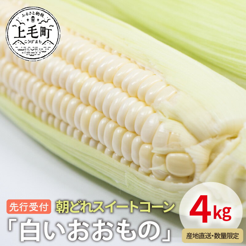 【ふるさと納税】 先行受付 朝どれスイートコーン「白いおおもの」4kg【産地直送・数量限定】 スイートコーン コーン とうもろこし YF0504