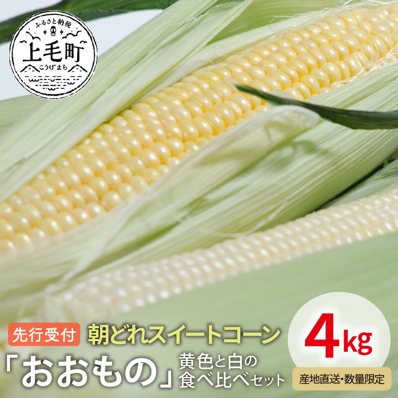 【ふるさと納税】 先行受付 朝どれスイートコーン「おおもの」黄色と白の食べ比べセット4kg【産地直送・数量限定】 スイートコーン コーン とうもろこし YF0604