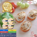 【ふるさと納税】奈良漬 × クリームチーズ 3個 《築上町》【有限会社奈良漬さろん安部 / SALON DE AMBRE 】 奈良漬け 奈良漬 [ABAE005...