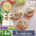 【ふるさと納税】【全3回定期便】奈良漬 × クリームチーズ 4個 ギフト BOX (白箱)プレーン & 山椒 & 黒胡椒 & 柚子《築上町》【有限会社奈良漬さろ...