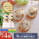 【ふるさと納税】【全6回定期便】奈良漬 × クリームチーズ 4個 ギフト BOX (白箱)プレーン & 山椒 & 黒胡椒 & 柚子《築上町》【有限会社奈良漬さろ...