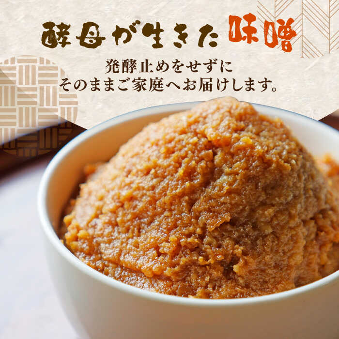 【ふるさと納税】福みそ ( 米味噌 ) 2kg + 福こうじ ( 生こうじ ) 2kg【まんがいいセット】《築上町》【安部味噌製造所】 12000円 [ABAF008]