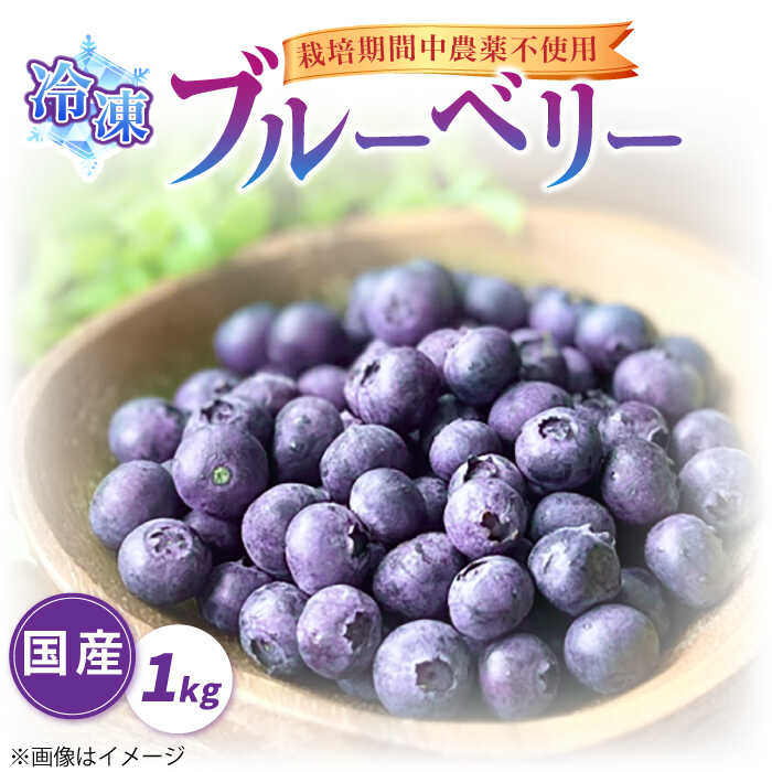 21位! 口コミ数「2件」評価「4」【先行予約受付中】築上町産 冷凍 ブルーベリー 1kg 【2024年9月以降順次発送】《築上町》【(有)工房よしかわ】国産 ブルーベリー 1･･･ 