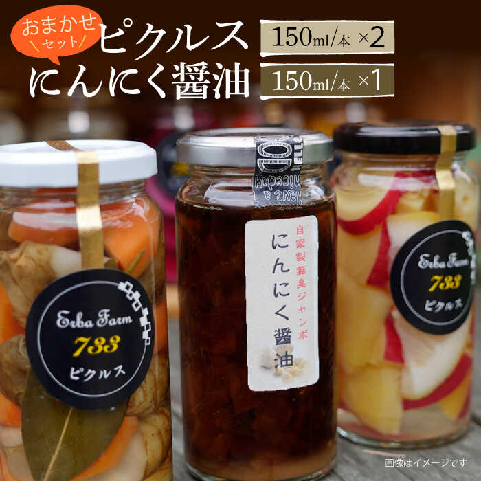 【農家のこだわり野菜使用】おまかせ ピクルス 2本 + にんにく 醤油 1本 セット《築上町》【ERBA FARM733】 [ABAP002] 13000 13000円