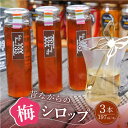 【ふるさと納税】【築上町産梅使用】昔ながらの 梅シロップ 3本《築上町》【ERBA FARM733】12000円 [ABAP004]