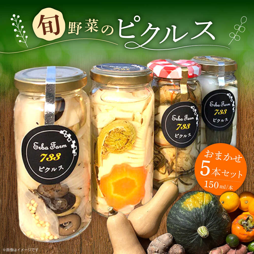 お任せピクルス5本セット化粧箱入り[築上町][ERBA FARM733] [ABAP006] 19000円[ABAP006]