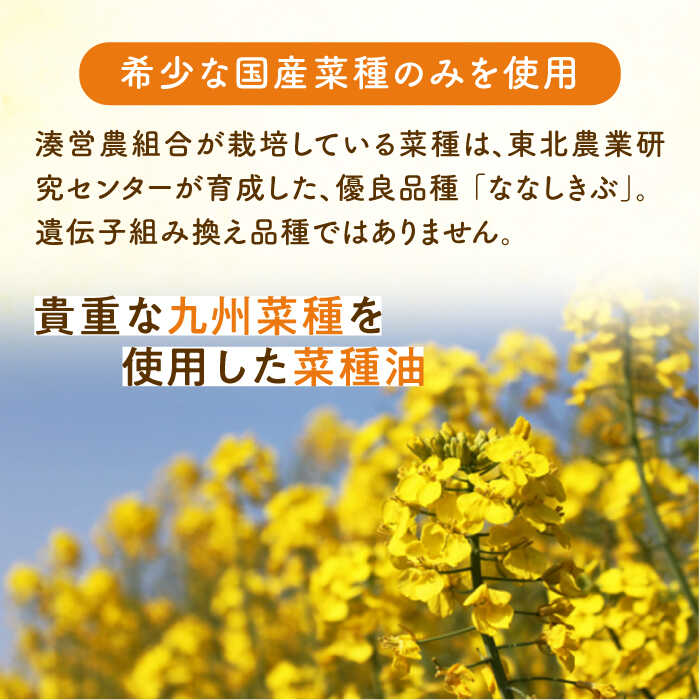 【ふるさと納税】【全12回定期便】菜の花 一番...の紹介画像3