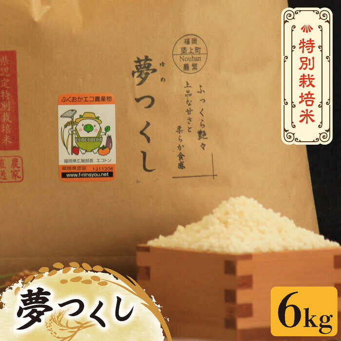 【先行予約・令和7年産】特別栽培米 夢つくし 6kg 《築上町》【Nouhan農繁】 [ABAU013] 精米 米 ご飯 ごはん こめ コメ 14000 14000円