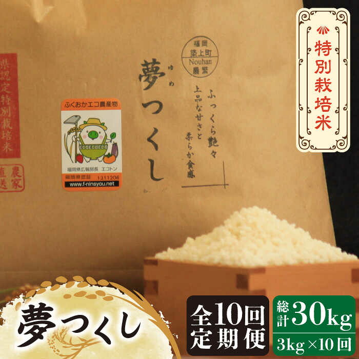 【全10回定期便】【先行予約・令和7年産】特別栽培米 夢つくし 3kg 《築上町》【Nouhan農繁】 [ABAU032] 精米 米 ご飯 ごはん こめ コメ 103000 103000円