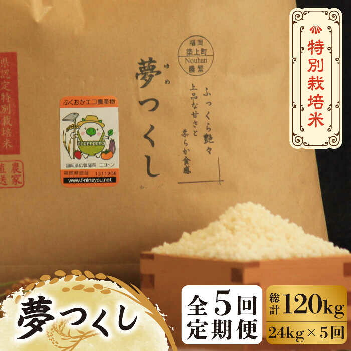 【全5回定期便】【先行予約・令和7年産】特別栽培米 夢つくし 24kg 《築上町》【Nouhan農繁】 [ABAU043] 精米 米 ご飯 ごはん こめ コメ 193000 193000円