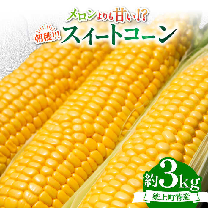 【令和6年6月9日予約締切】 築上町 特産品 スイートコーン 約3kg 【京築の恵み】《築上町》【JA福岡京築　営農部】 10000円 1万円 [ABAW001]