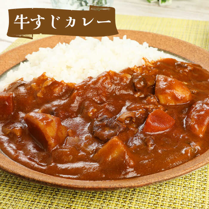 【ふるさと納税】航空自衛隊 築城基地 名物 隊員食堂 カレー ( 中辛 + 牛すじ 各3個）《築上町》【NPO法人築上町観光協会】 13000円 [ABAX003]