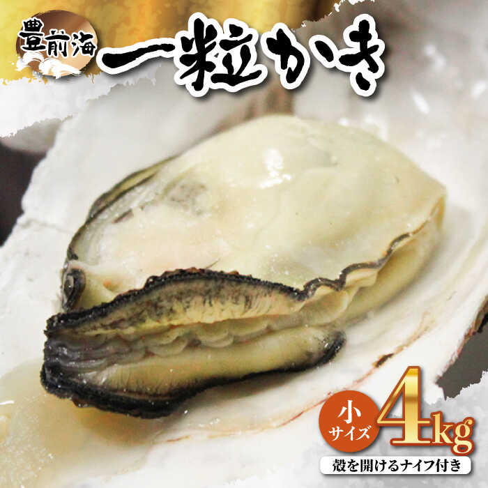 ブランド牡蠣 「 豊前海一粒かき (しいだ小粒がき)」 小サイズ 4kg《築上町》【築上町蓄養殖部会】 [ABAY003] 14000 14000円
