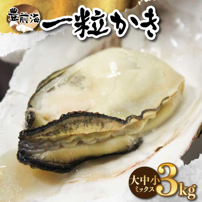 殻付き 生牡蠣 「豊前海一粒かき (しいだ小粒がき)」 3kg 大中小サイズ ミックス 《築上町》【築上町蓄養殖部会】 牡蠣 かき カキ 14000 14000円