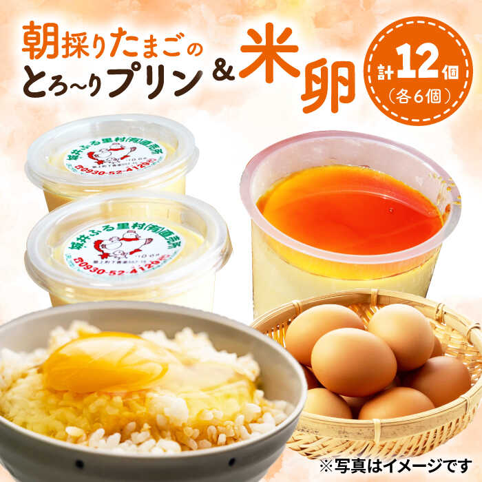 城井ふる里村 の 朝採りたまご の とろ〜り プリン + 米卵 セット《築上町》【城井ふる里村有限会社】 たまご 卵 玉子 [ABAZ002] 10000円