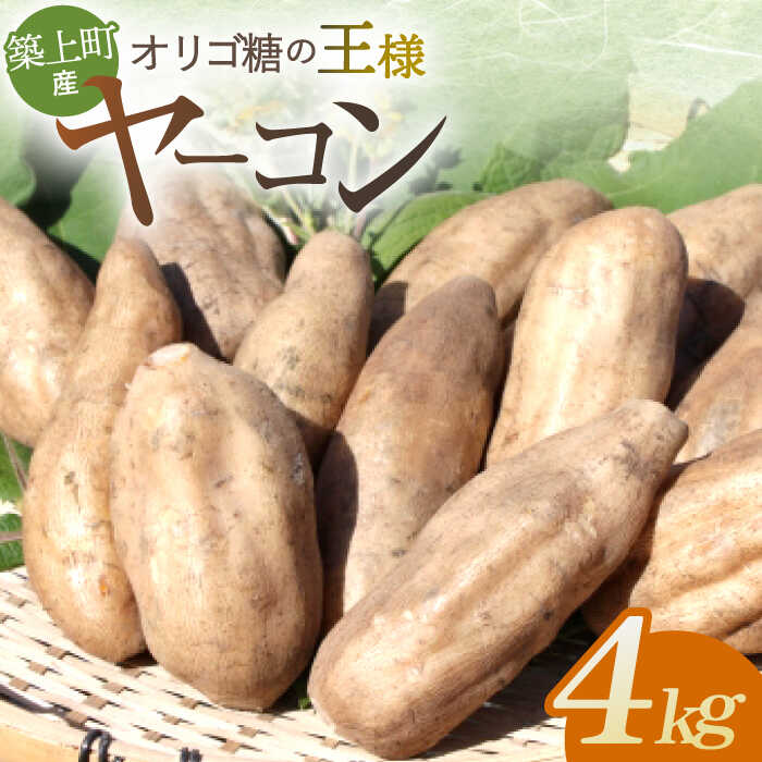 築上町産 ヤーコン 4kg 〜オリゴ糖の王様〜《築上町》【信田 淳】 10000円 1万 7000円