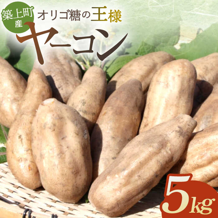 築上町産 ヤーコン 5kg 〜オリゴ糖の王様〜《築上町》【信田 淳】 10000円 1万 10000円
