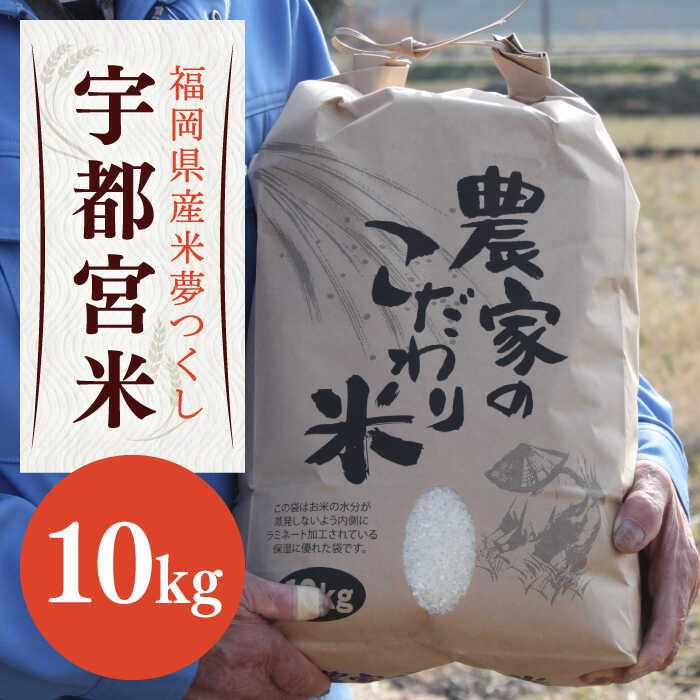 【農家直送】 築上町産 夢つくし 「宇都宮米」 10kg《築上町》【松丸の向井さん】[ABBN001] 米 お米 こめ コメ ご飯 白米 夢つくし 10000 10000円