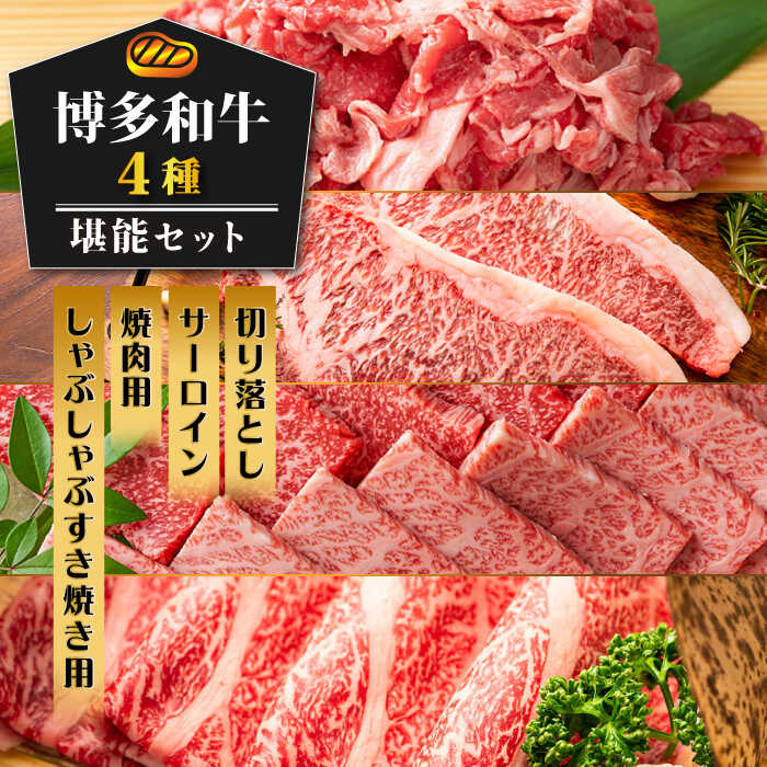 博多和牛 堪能セット 《築上町》【株式会社MEAT PLUS】57000円 [ABBP117]