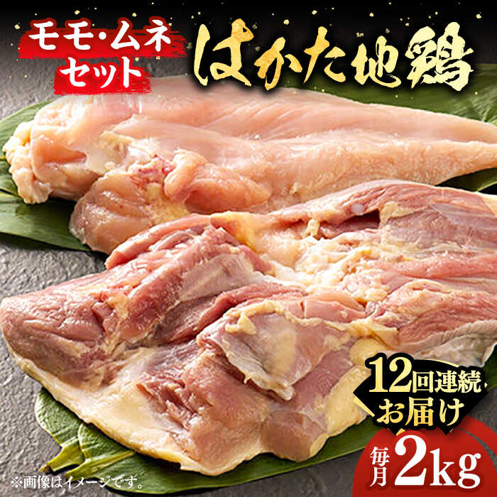 【全12回定期便】はかた地鶏モモムネセット 2kg（1kg×2p）《築上町》【MEAT PLUS】鶏 鶏肉 もも 胸 [ABBP135] 188000 188000円