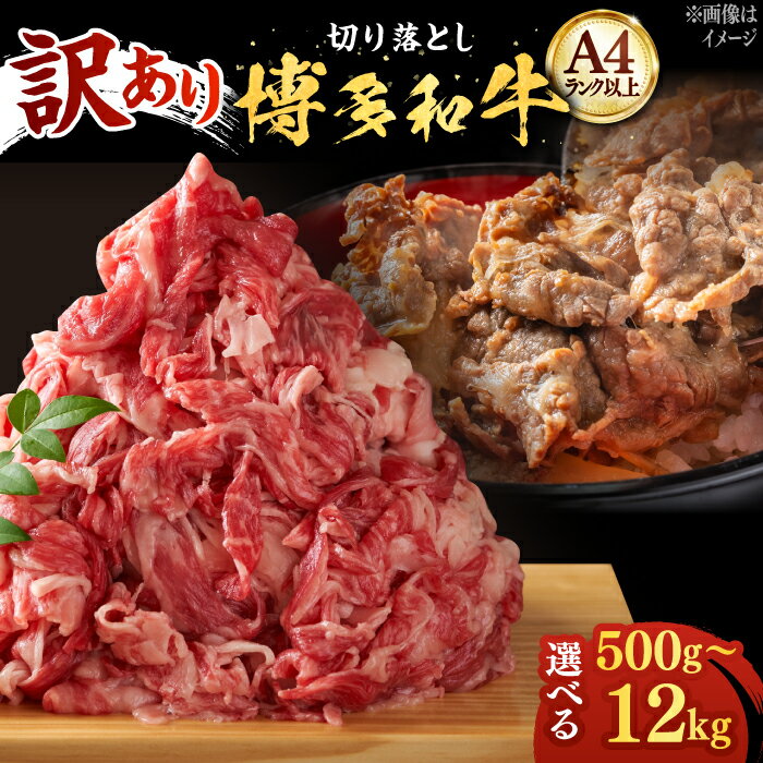 博多和牛 切り落とし 500g / 1kg (選べる容量/回数)[築上町][株式会社MEAT PLUS] 定期便 [ABBP004]