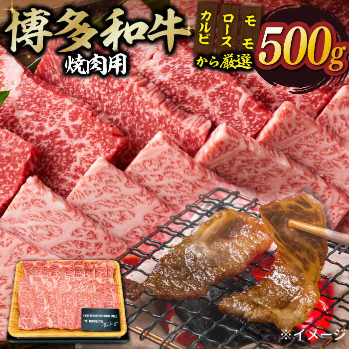 【和牛の旨味を堪能！】博多和牛 焼肉用 500g《築上町》【株式会社MEAT PLUS】 17000円 [ABBP012]