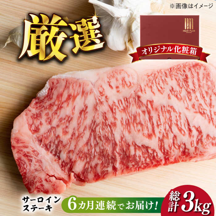 【全6回定期便】【溢れる肉汁と濃厚な旨味】博多和牛サーロインステーキセット 500g(250g×2枚)《築上町》【株式会社MEAT PLUS】120000円 [ABBP031]