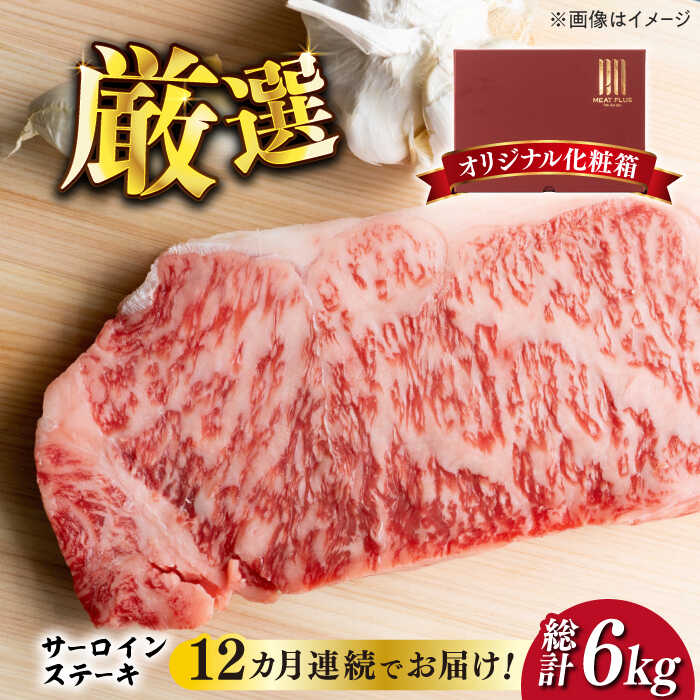 【全12回定期便】【溢れる肉汁と濃厚な旨味】博多和牛サーロインステーキセット 500g(250g×2枚)《築上町》【株式会社MEAT PLUS】240000円 [ABBP032]