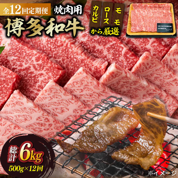 【全12回定期便】【和牛の旨味を堪能！】博多和牛焼肉用 500g《築上町》【株式会社MEAT PLUS】201000円 [ABBP035]