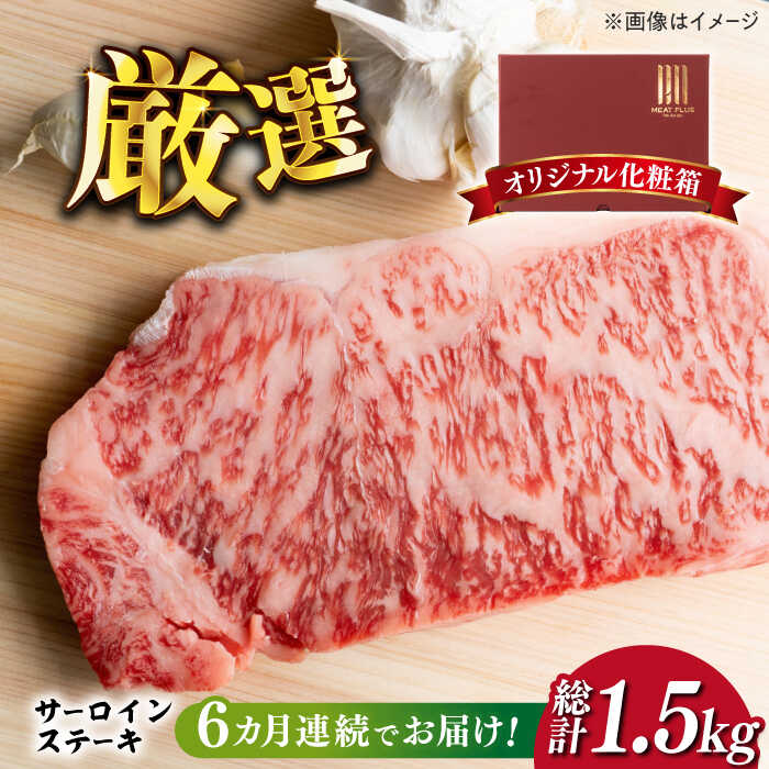 【全6回定期便】【厳選部位使用！】博多和牛サーロインステーキ250g×1枚《築上町》【株式会社MEAT PLUS】66000円 [ABBP046]