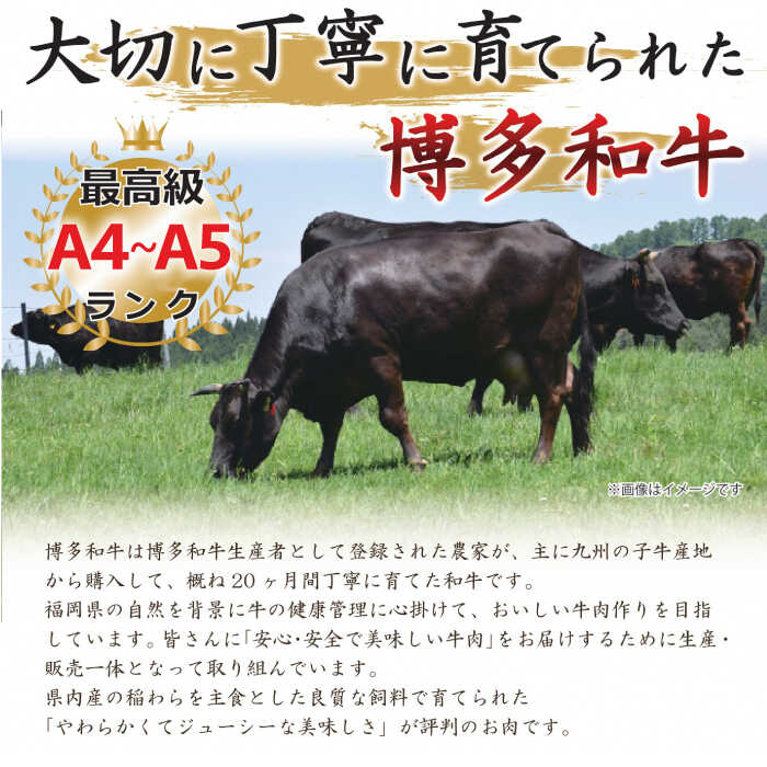 【ふるさと納税】【訳あり】博多和牛 サーロイン ステーキ セット 5kg（250g×20枚）《築上町》【株式会社MEAT PLUS】 200000円 20万円 [ABBP065]