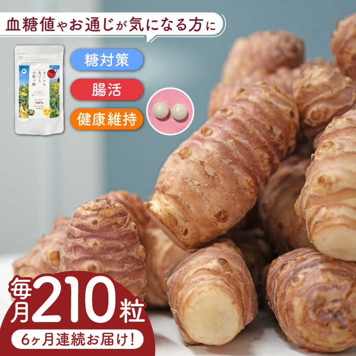 【全6回定期便】きくいも 丸ごと小粒っ粉 1袋 210粒《築上町》【合同会社豊築マルシェモンステラ】 菊芋 サプリメント サプリ [ABBZ011] 54000 54000円