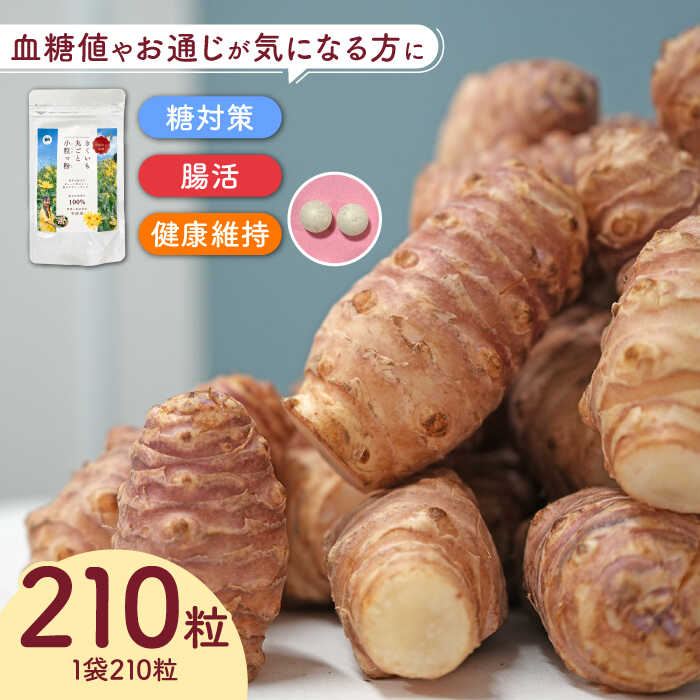 きくいも 丸ごと小粒っ粉 1袋 210粒《築上町》【合同会社豊築マルシェモンステラ】 きくいも サプリメント サプリ 9000 9000円
