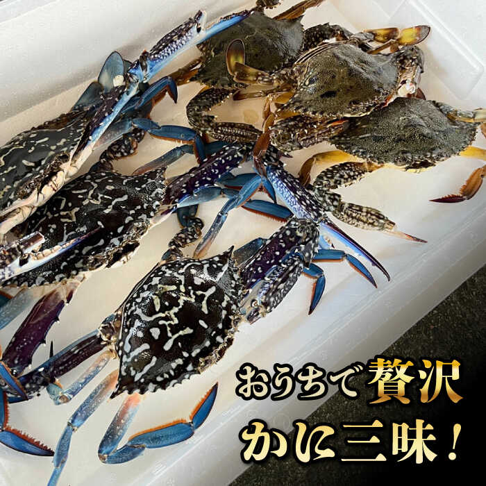 【ふるさと納税】【先行予約】【2026年8月以降順次発送】豊前海産 タイワンガザミ 1kg (4〜7杯前後) オス メス セット 《築上町》【明青丸】 ワタリガニ 渡り蟹 蟹 カニ [ABCB002] 17000円